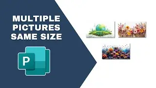 How to Make Multiple Pictures Same Size in Publisher Document