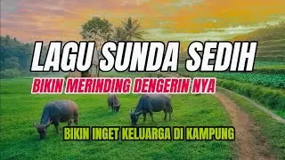 KUMPULAN LAGU LAGU POP SUNDA FULL ALBUM POPULER || BIKIN NOSTALGIA INGAT KAMPUNG HALAMAN