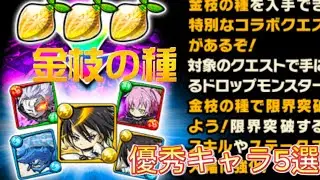金種のキャラで個人的に優秀なキャラ5選　