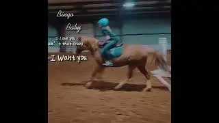 ❤️💔 #pony #equestrian #horseriding #equation #jumping #english #western #love #cute #sad #missyou