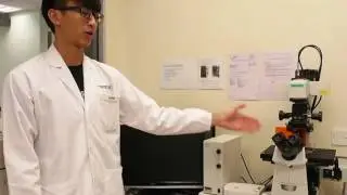 How to Operate a Confocal Microscopy