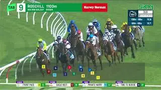 The Galaxy 2025 - PRIVATE HARRY (3YO+ Hcp G1) Group 1 Rosehill 22 March