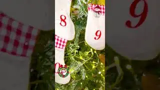 Day 12 Animal Advent Stocking Dec 12 | Learn Animal Names for Kids #HolidaysWithYouTube