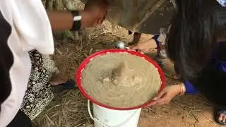 Khmer cake, Nom Kor, Tranditional Cake for on Pchom Ben Day made by Villger in Siem Reap, Cambodia