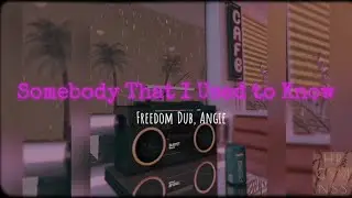 Somebody That I Used to Know  | Freedom dub, Angie REGGAE version #lyricvideo #gotye #reggae