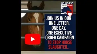 US Horse Welfare & Rescue NC's 1 Letter 1 Day 1 Executive Order Campaign to stop horse slaughter