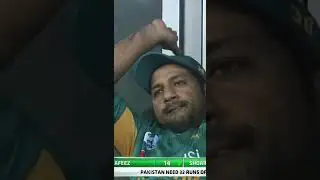 Professor Mohammad Hafeez At His Very Best  #Shorts #SportsCentral #PCB #PAKvNZ MA2L