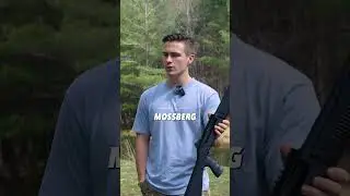 Цена полуавтоматического и помпового ружья
