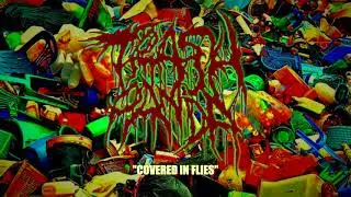 Trash Panda - Covered in Flies (DEBUT SINGLE) 2021