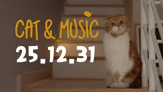 🔴25.12.31 Cat & Music LIVE (feat.치순chisoon&콩kong)【SURI&NOEL】😺