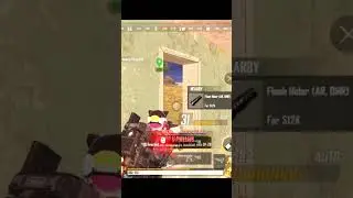 chicken dinner with dp28