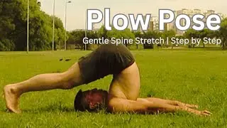 Plow Pose (Halasana) for Beginners | Gentle Spine Stretch Yoga Step by Step