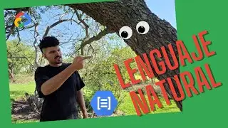 Lenguaje Natural Gratis con Google Cloud