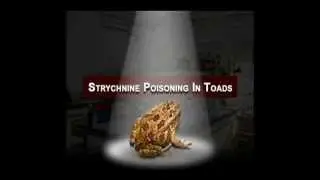 Pharmacology : Pharmacological Lab Procedures - Strychnine Poisoning in Toads