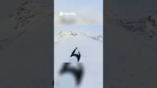 Epic Powder Skiing Adventure  Let's Hit the Slopes!
