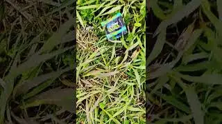 that's a fucking condom wrapper dude