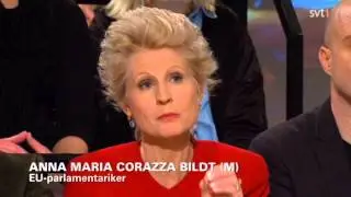 SVT Debatt - K&ouml;ttskatt