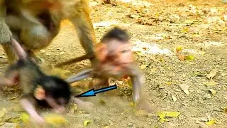 LOOK! DANGER//MOM DAISY D.R.A.G.S BABY DANTE SO QUICK, DANTE SCAREA AND CRY