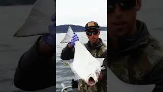 The Halibut Capital of the world never disappoints! Full video out now! #alaska #fishing #outdoors