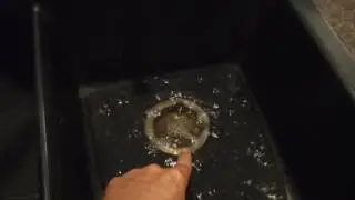 Super Inspector Finds Malfunctioning Sink Drain