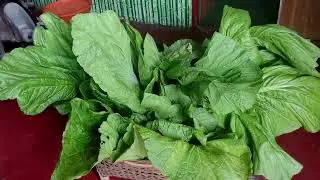 HANG GAM🥬 HEKPA HOURE Photography Gi 💚😊 #manipur #familyvlog 