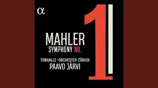 Symphony No. 1, GMW 11: Ic. Sehr gem&auml;chlich