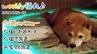 20260124-30〜母上とお散歩、今週は与野公園に行ってきました💨
