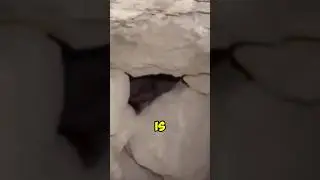 MYSTICAL CREATURE DISCOVERED DEEP UNDERGROUND!