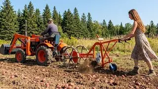 How and What People Use to Harvest Potatoes Around the World (2026 Compilation)