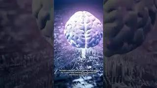 The brains storage capacity is unlimited #brain #facts #shorts