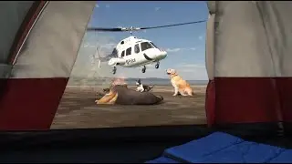 FS2020 Cowan Bell 222B if it had real sounds. Police bust dog fly-in party for an illegal campfire.