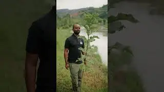Wildlife Conservation Travel