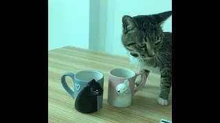 Handmade Kissing Cat Mugs Set/ Novelty Coffee Mugs/ Couple Gift Idea for Cat Lovers