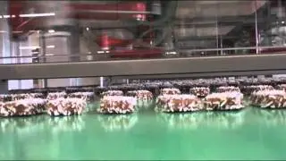 Loacker | Our products: Gran Pasticceria Patisserie