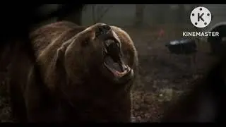 Into The Grizzly Maze Bear Sound Effects