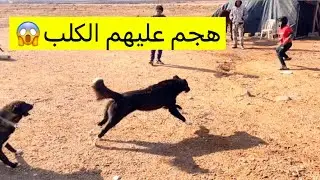 كنت أصوّر يومي وفجأة الكلب هجم😱