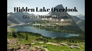 Hidden Lake Overlook - Glacier National Park