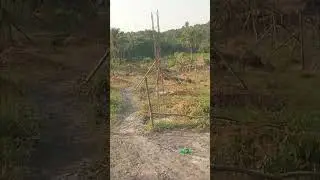 Farming In Liberia- CASTING the Pillars of our Chicken, Ducks, Turkey, Goose and Guinea Fowls House