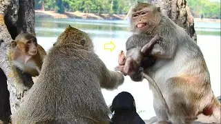 Super scared, Leyla grabs & tows Lucas firmly form Tara | Monkey Leyla tries to escape from Tara