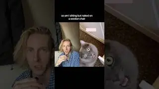 #funnycats #comedycontent