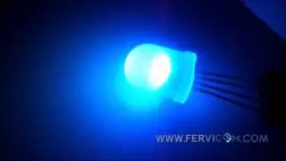 led 10mm rgb 4 pin.