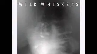 Wild Whiskers - Right Now