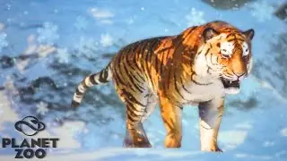 Attempting to Build a Arctic Zoo!