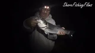 Bass Fishing in North Devon