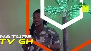 Bentil Show coming soon here on Nature tv gh