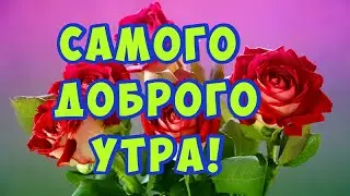 🌷Доброе утро! Успеха, любви, душевного тепла и удачи! 🌺 Музыкальная открытка с добрым  утром!🌷