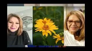 Por causa de Voçê  con letra en español