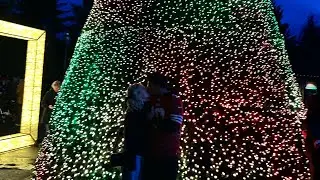 OUR FIRST VLOG! (ZOO LIGHTS)