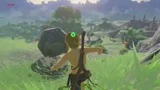 人生初ゼルダ
