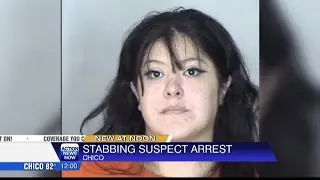 Woman arrested in connection to stabbing incident at Downtown Chico City Plaza